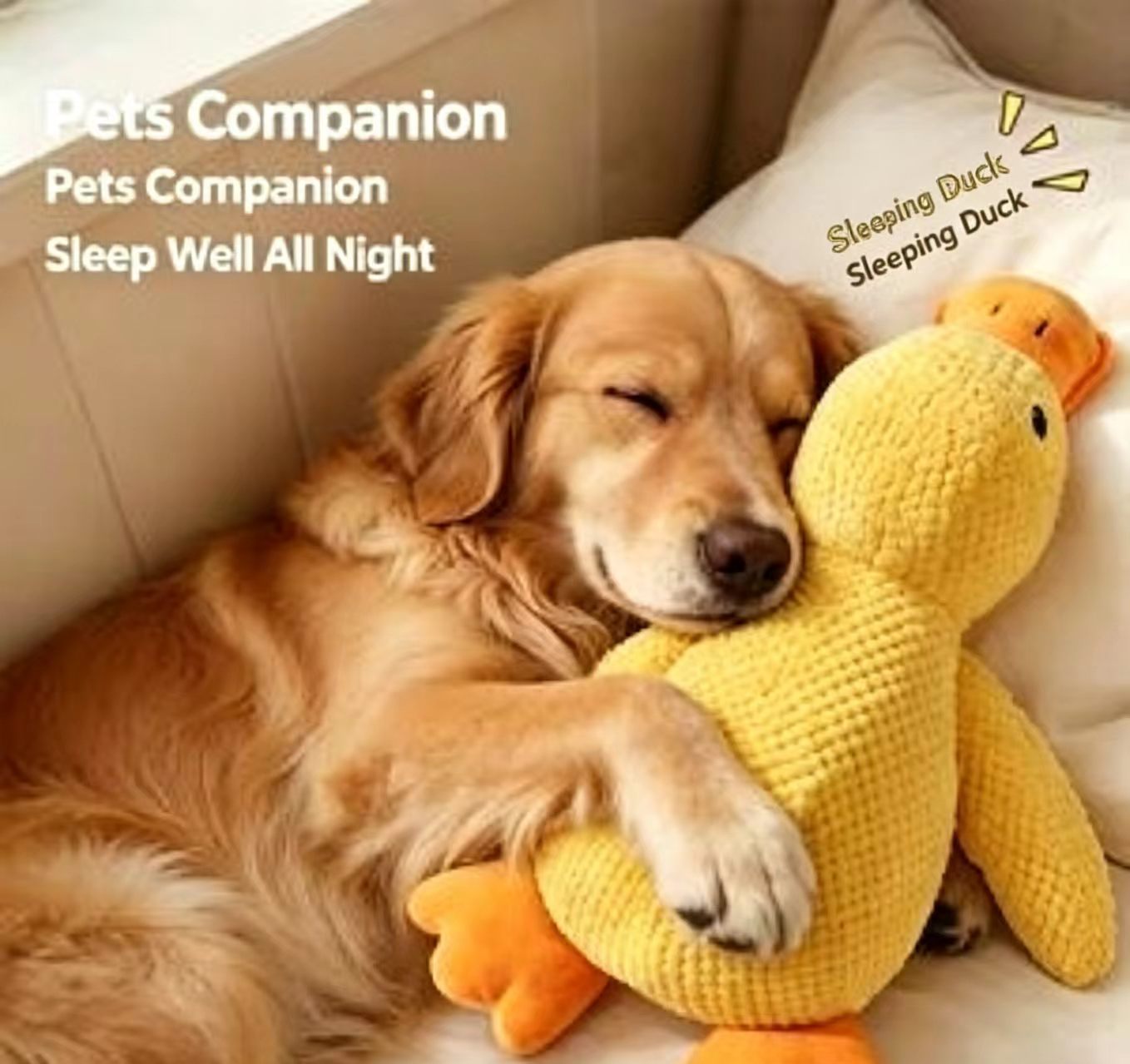 Little Yellow Duck Plush Pet Toy